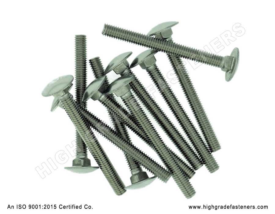Cup Square / Carriage Bolts