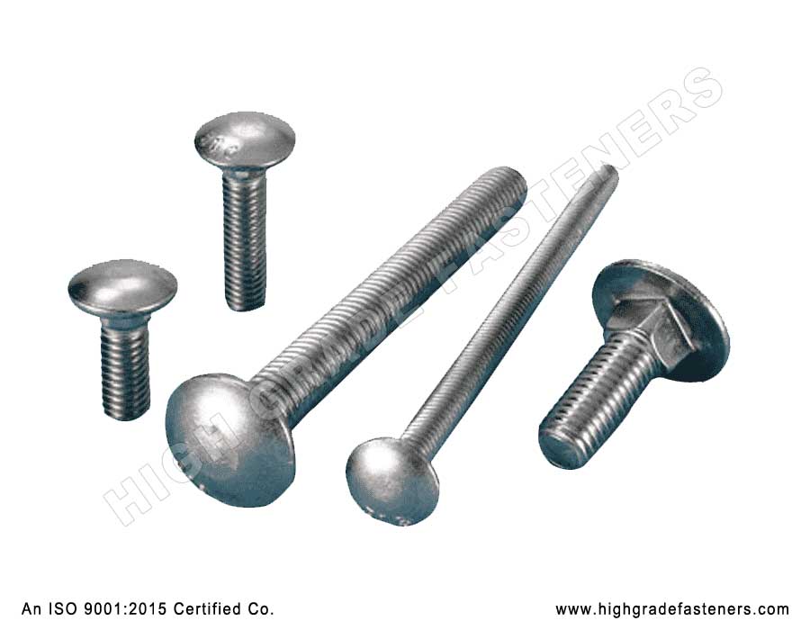 Cup Square / Carriage Bolts